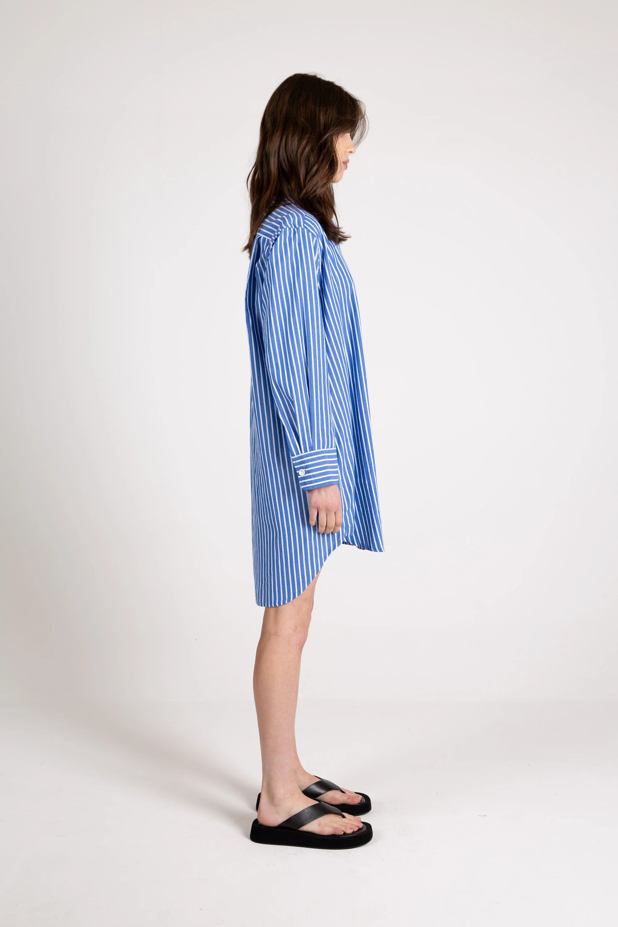 Shore Shirt Dress, Stripe