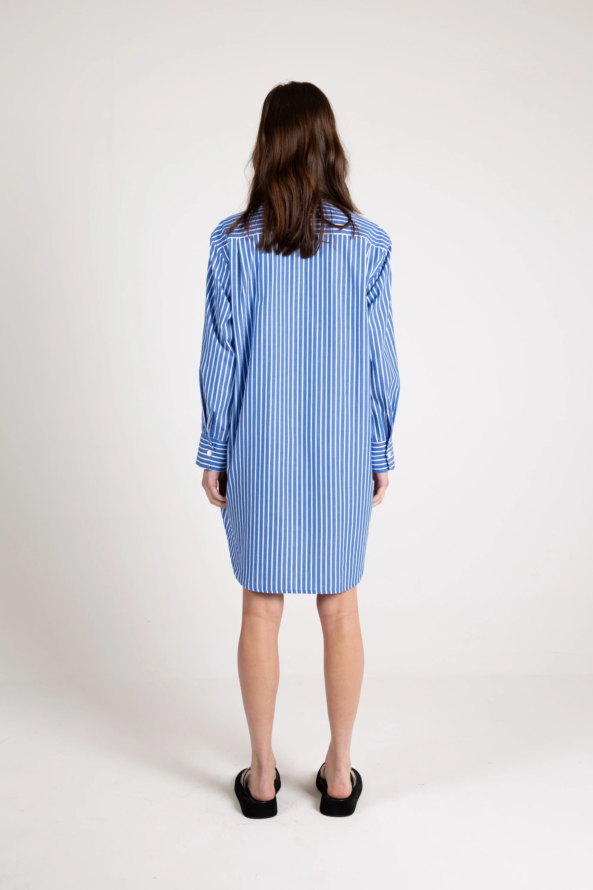 Shore Shirt Dress, Stripe